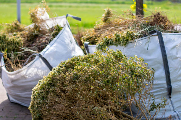 Best Property Management Cleanouts  in Alamo, TX