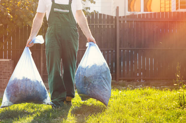 Best Recycling Services for Junk  in Alamo, TX