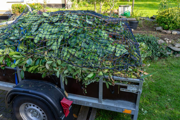 Best Dumpster Rental Services  in Alamo, TX